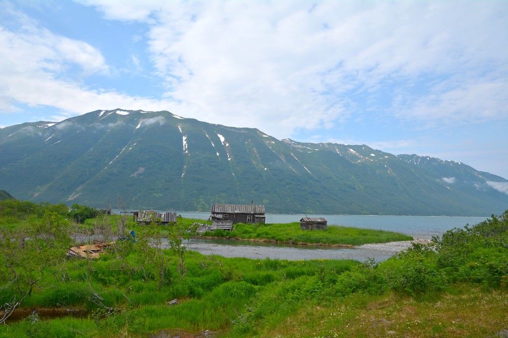 Photograph by Александр Новиков