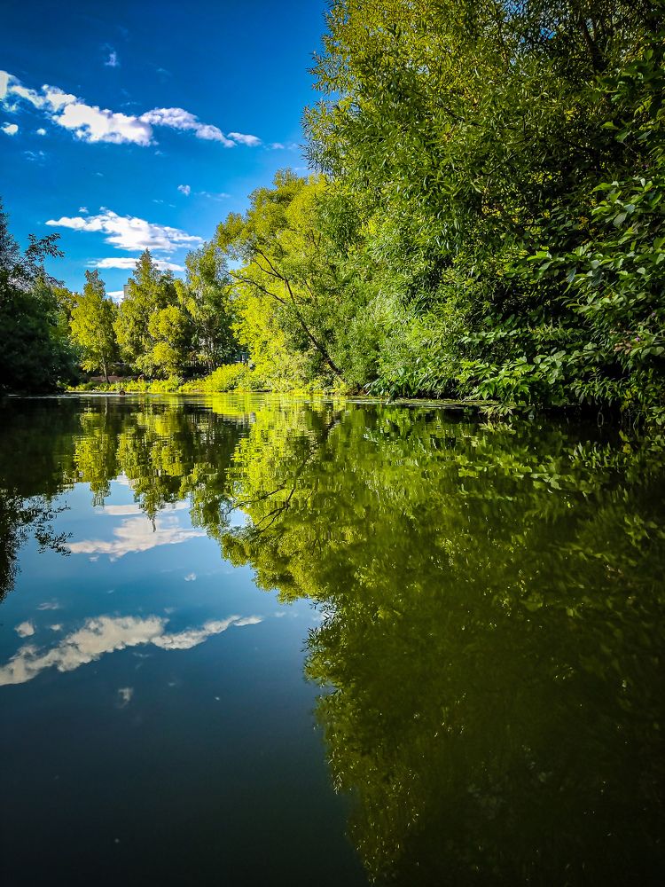 Photograph by Юлия Реутова