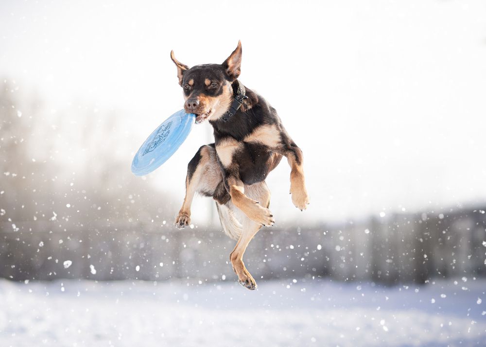 Photograph by Александра Лисова