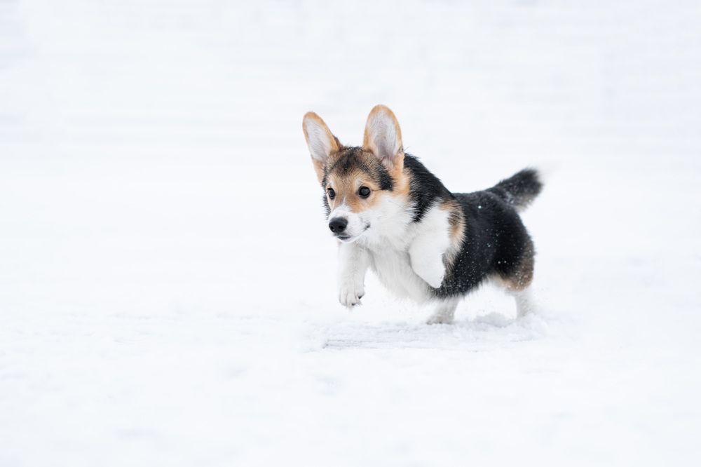 Photograph by Александра Лисова