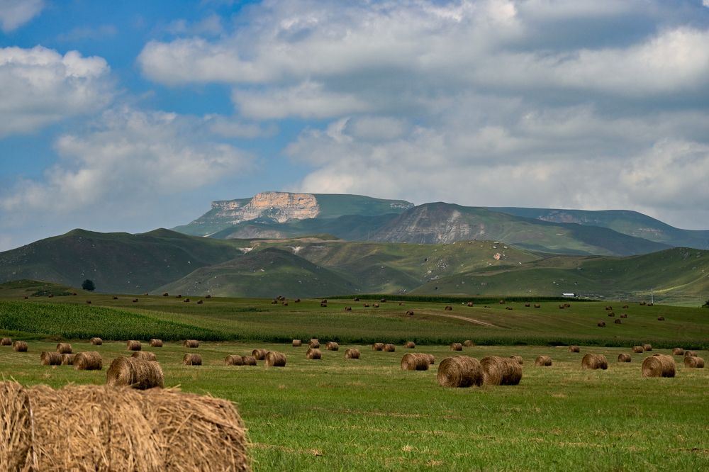 Photograph by Анастасия Долгова