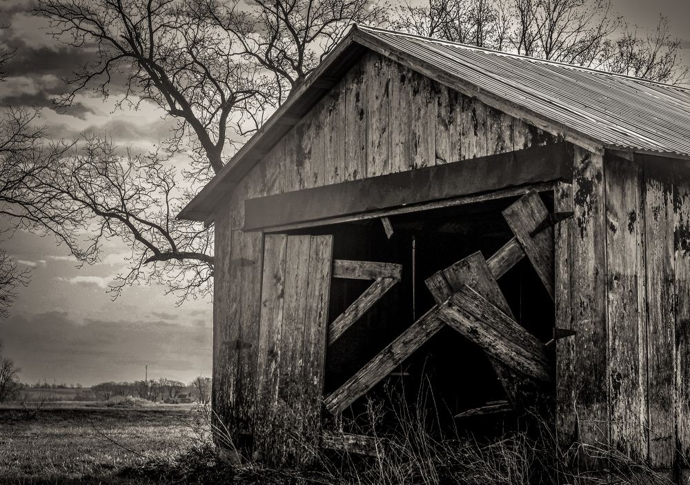 Photograph by John J Savala