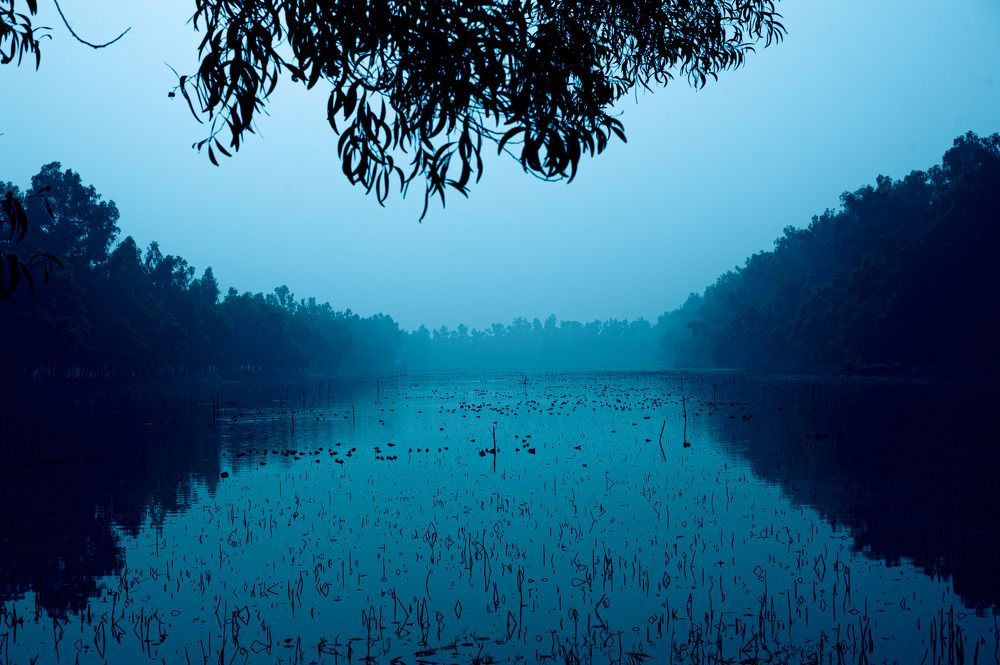 Photograph by Shepherd Hembrom