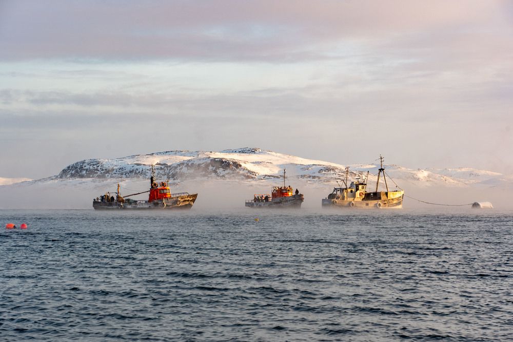 Photograph by Александр Березовский