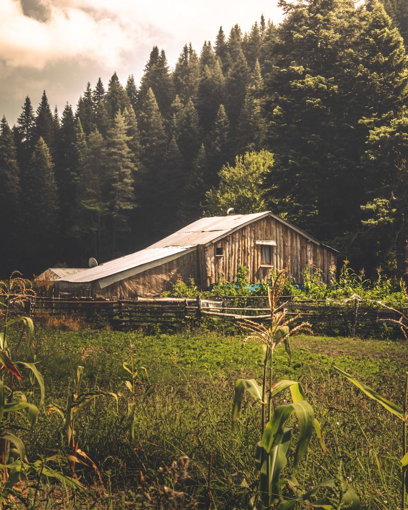 Фотография автора NECMETTİN SOBUTAY