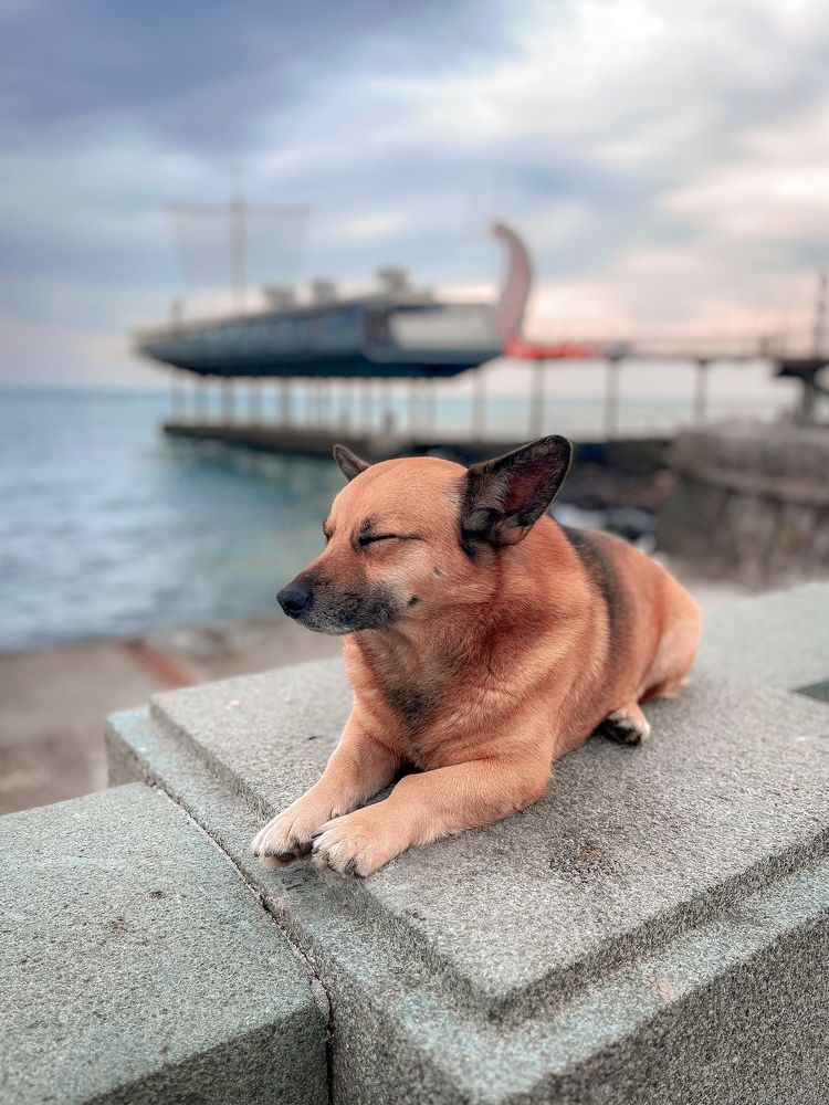 Photograph by Анастасия Потапова