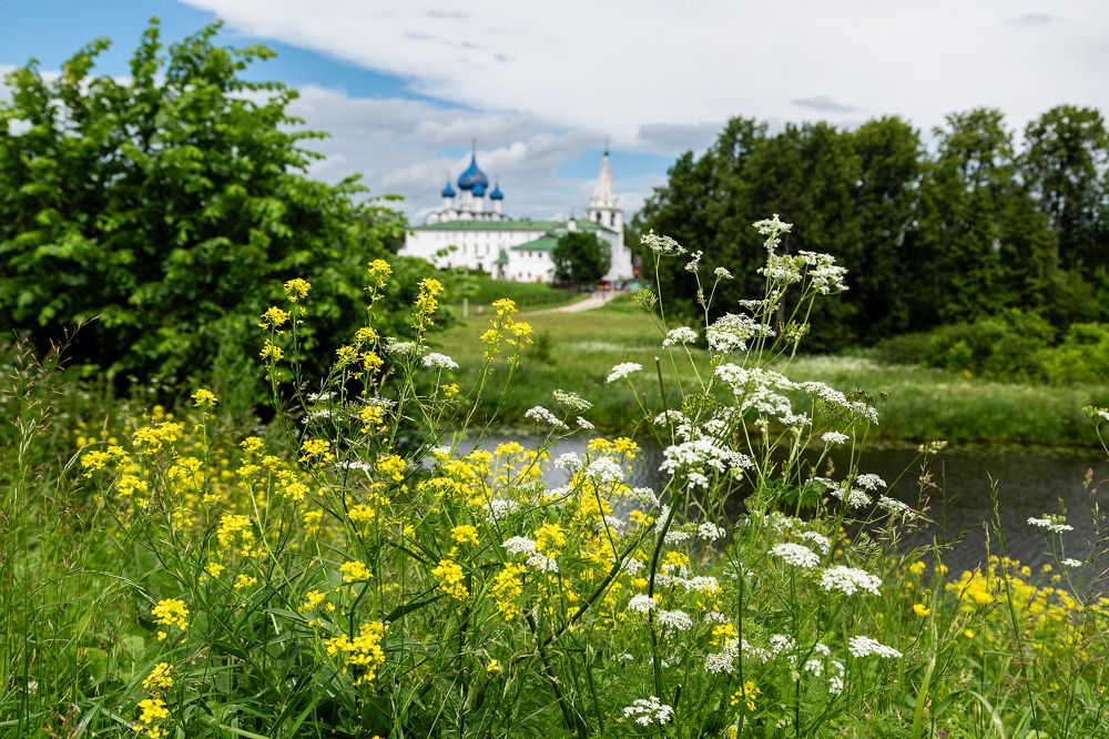 Photograph by Оксана Пучкова