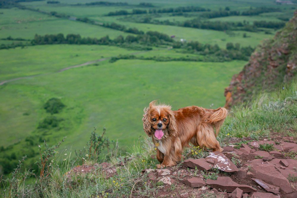 Photograph by Очева Наталья Александровна