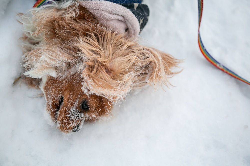 Photograph by Очева Наталья Александровна