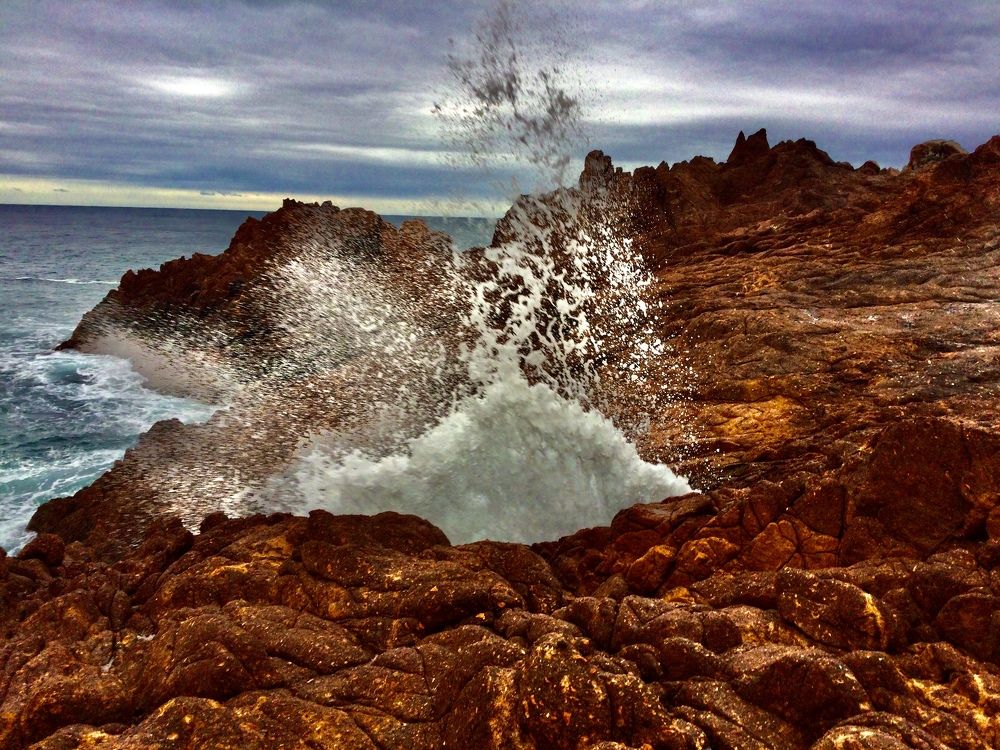 Photo #10296605
