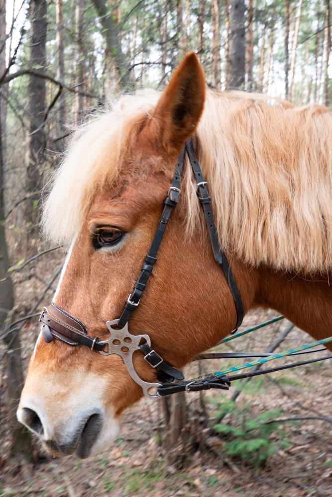 Photograph by Екатерина Шерабурко