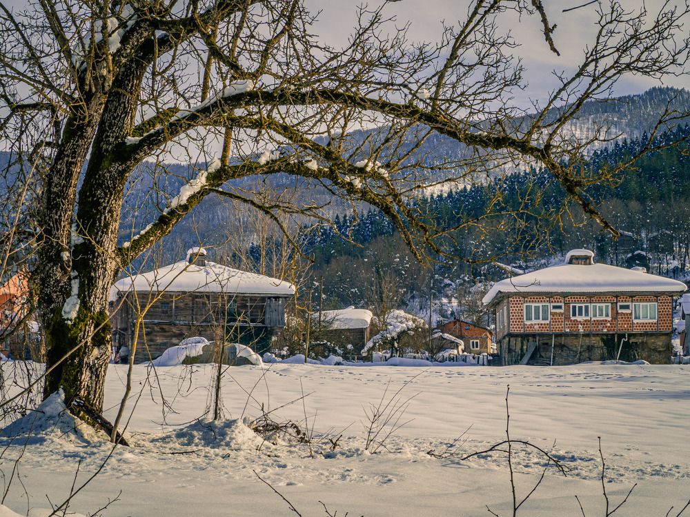 Фотография автора NECMETTİN SOBUTAY