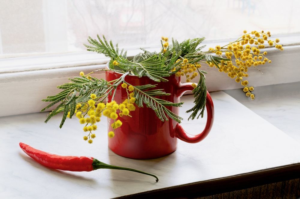 Photograph by София Стрыгина