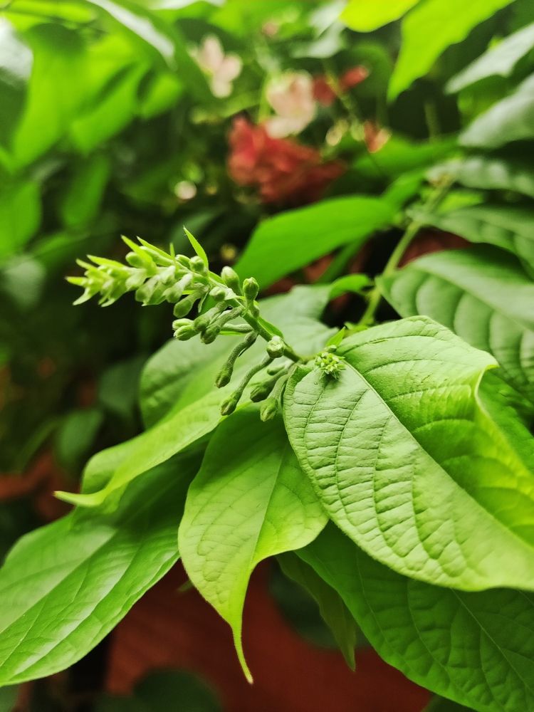 Photograph by Ishaan
