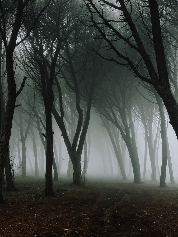 Фотография автора Hanna