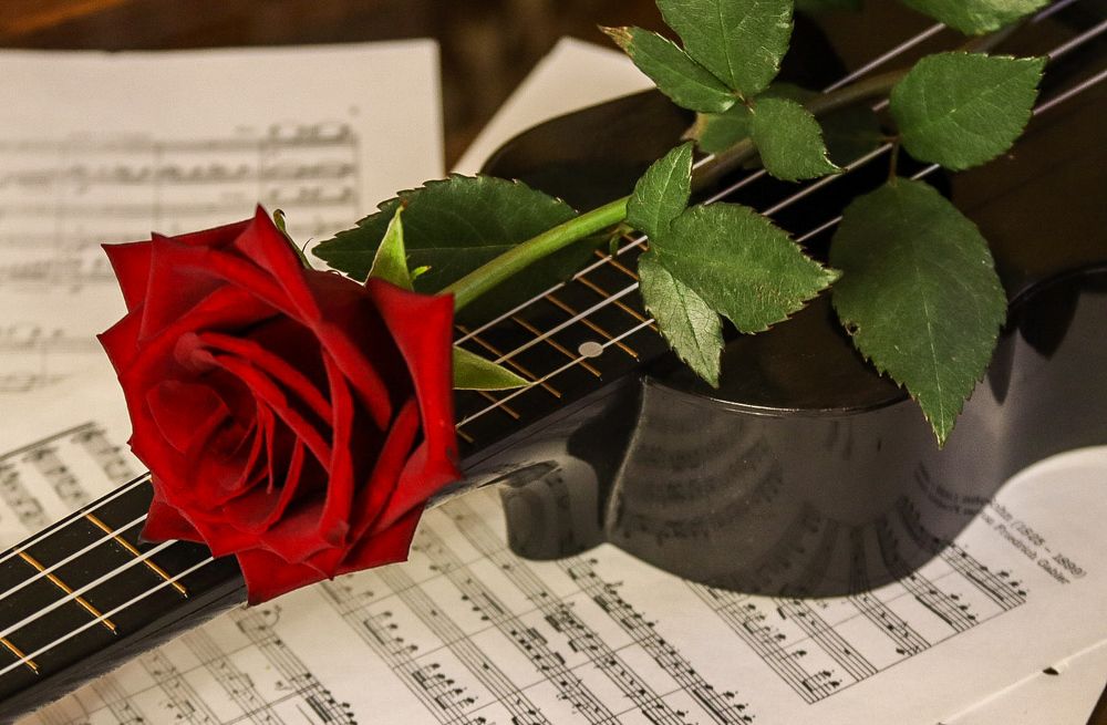 Photograph by Елена Рудкевич