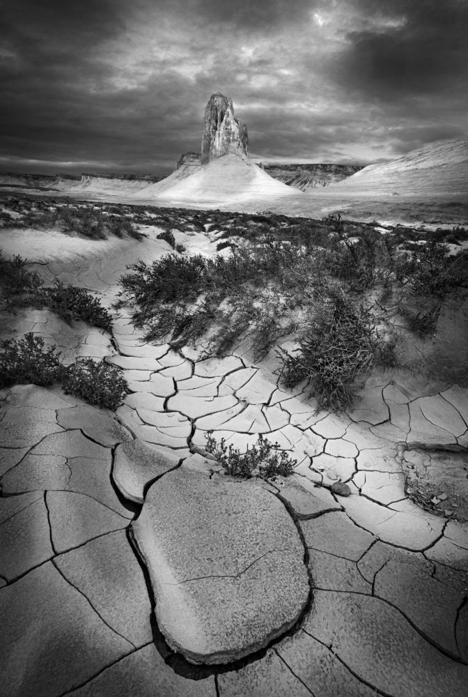 Photograph by Ольга Мусиенко