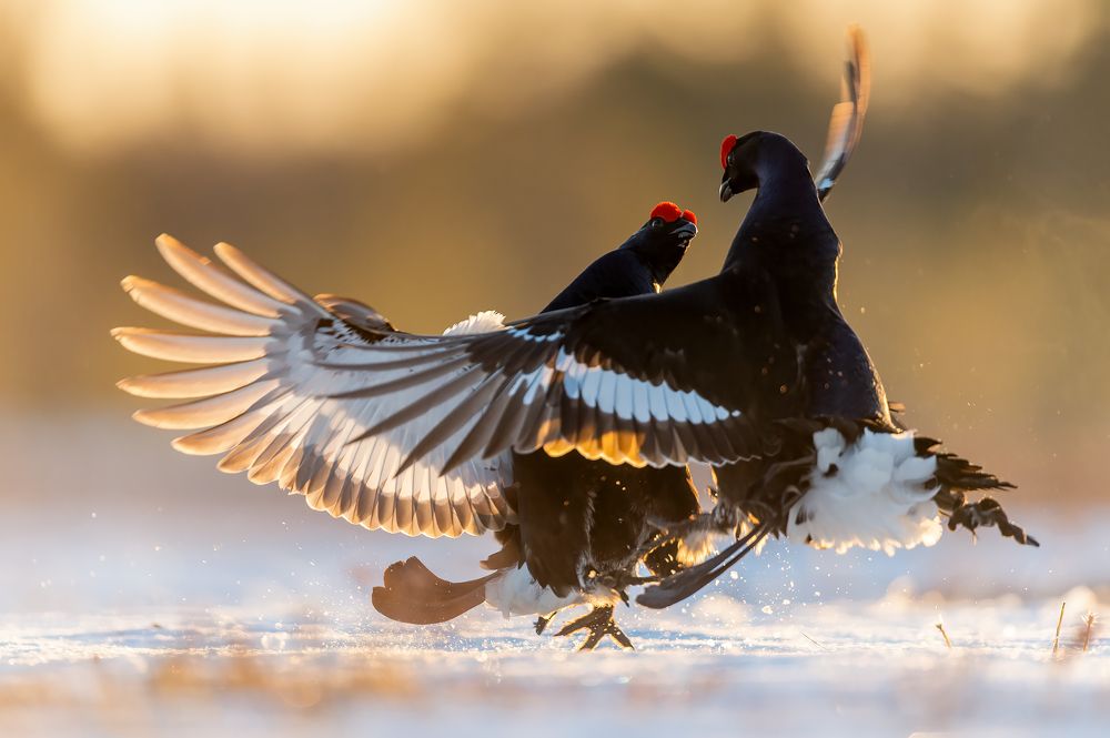 Photograph by Калинин Михаил