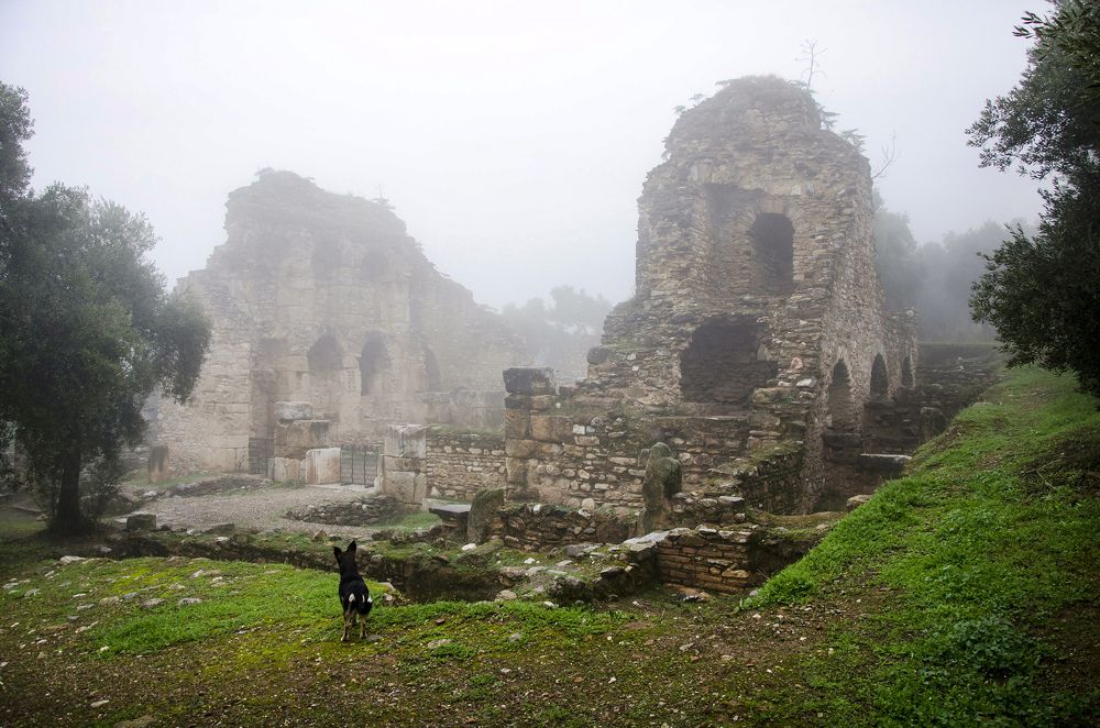 Photograph by Muhammed Diler