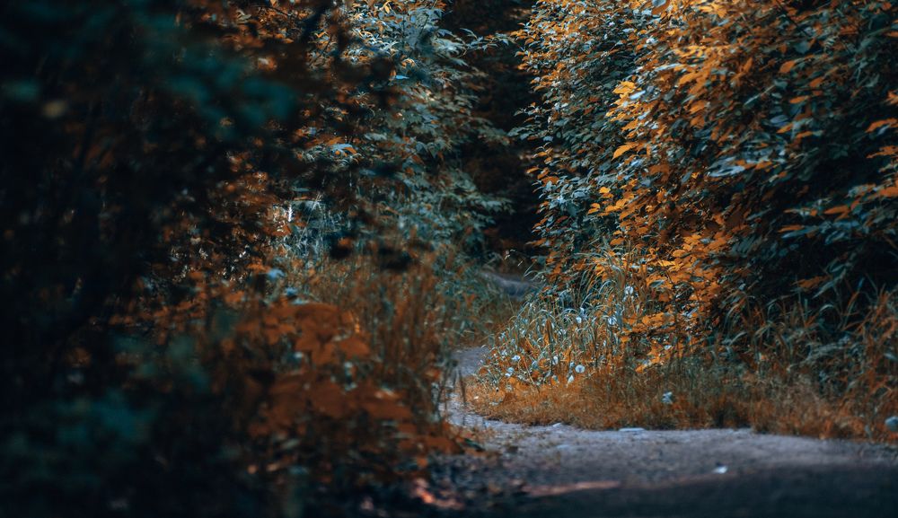 Photograph by Konstantin