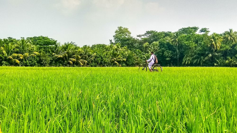 Photograph by Af Naf Shahriar