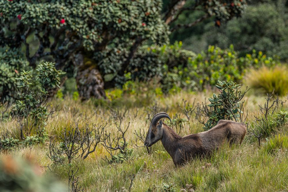 Photograph by Pranav Anil