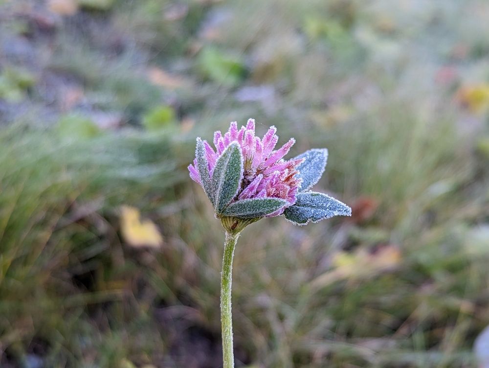 Photograph by Александр Бондаренко