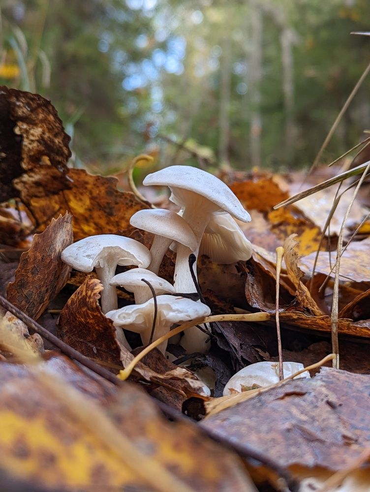 Photograph by Александр Бондаренко