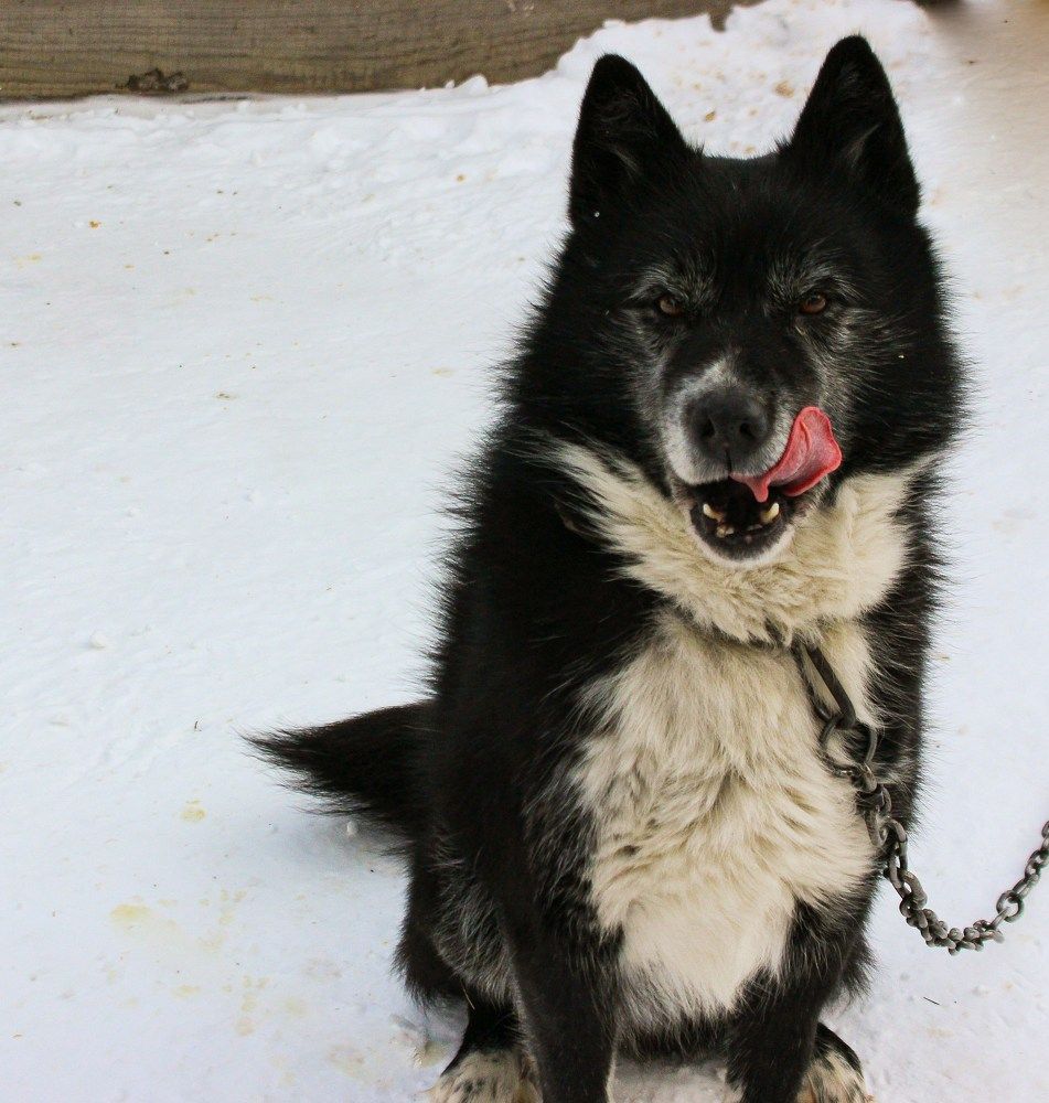 Photograph by Оксана Подъельская