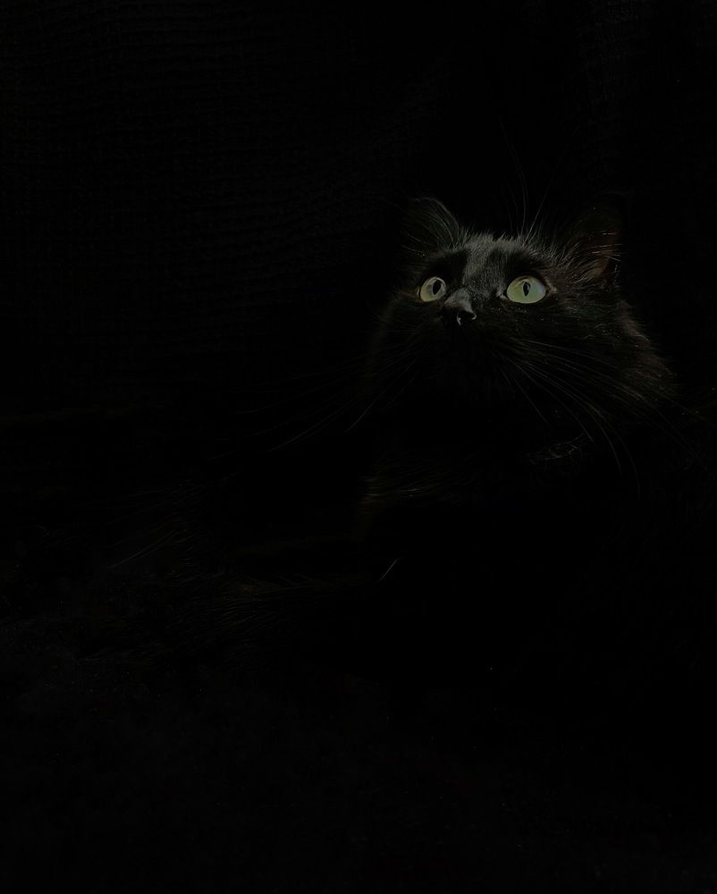 Photograph by Ксения