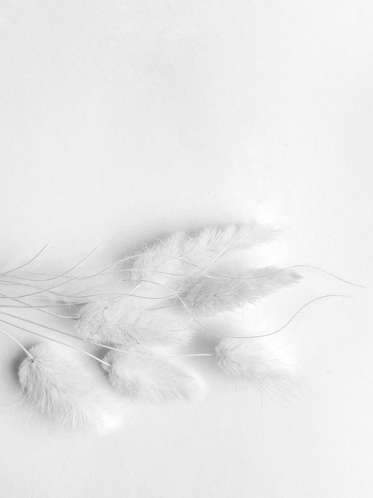 Photograph by Ксения