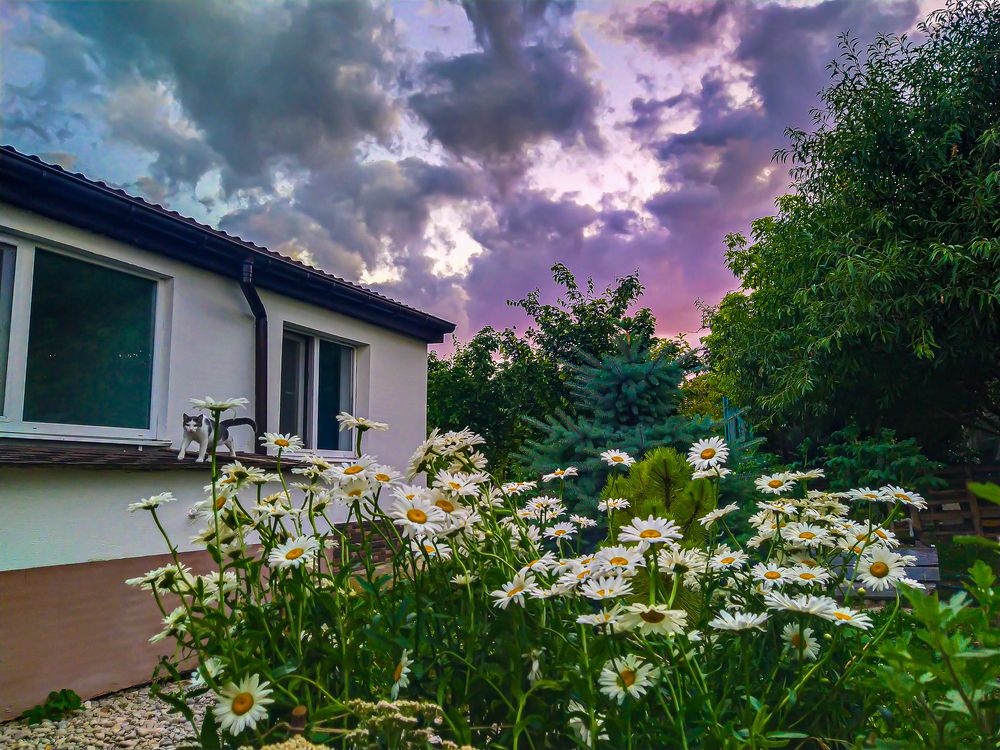 Photograph by Анатолий Мигов