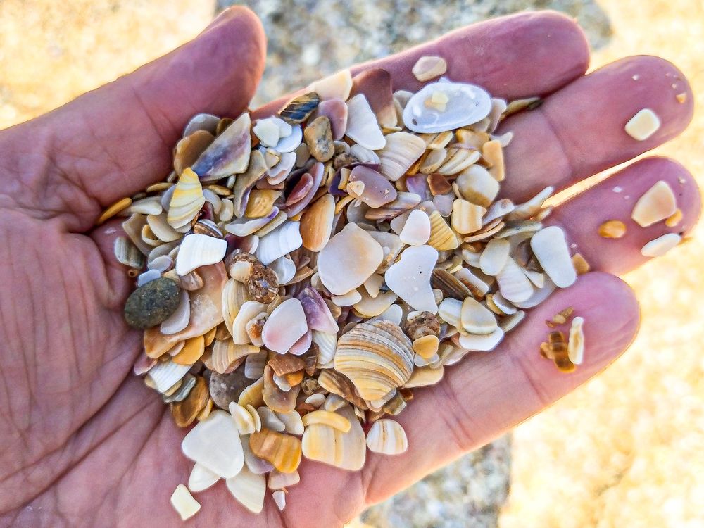 Photograph by Анатолий Мигов