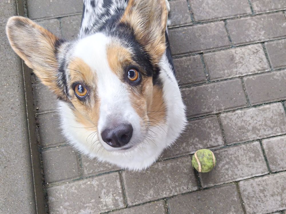 Photograph by Анатолий Мигов