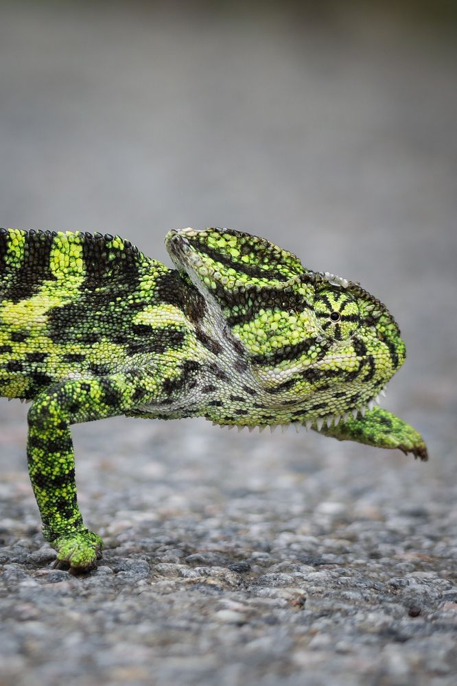 After Late night party ,stepping into home be like