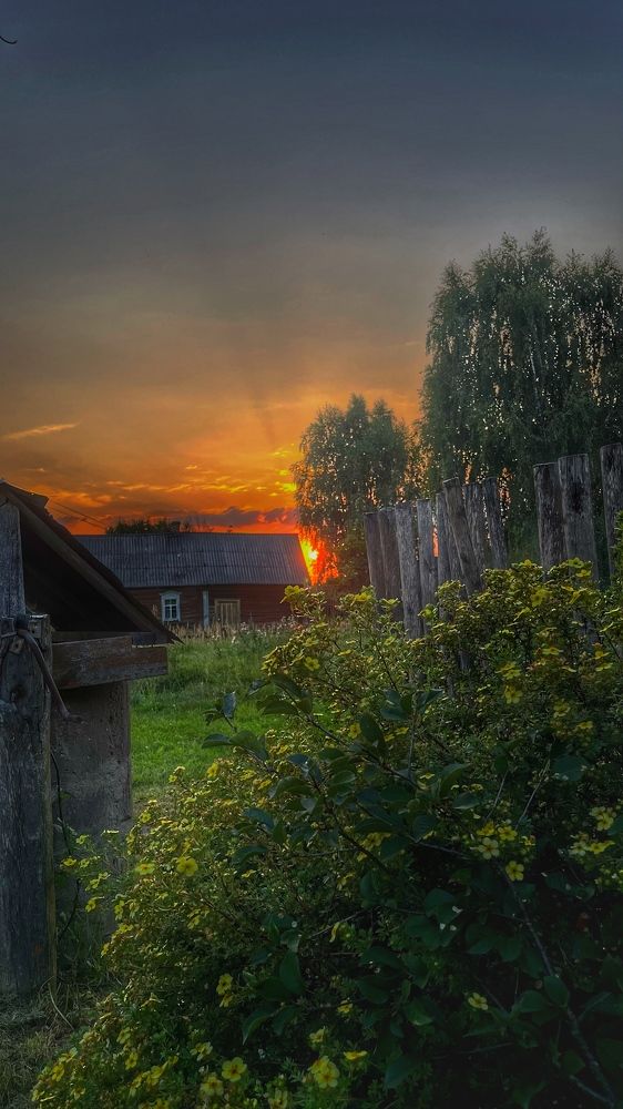 Photograph by Татьяна