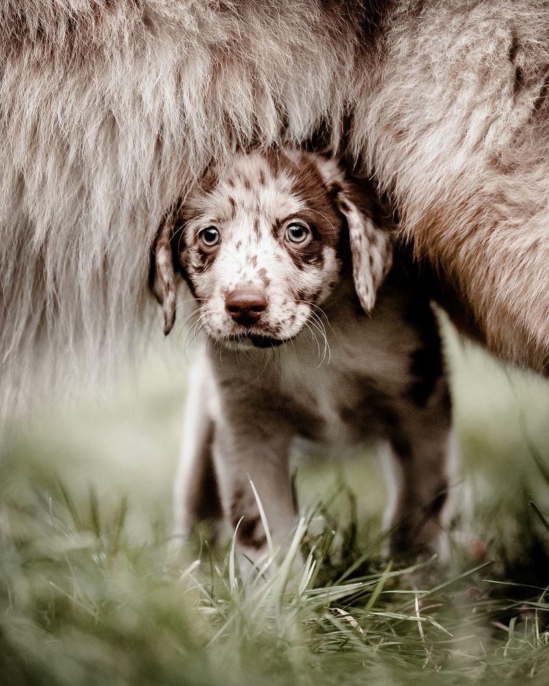 Photograph by Janine Ulbrich