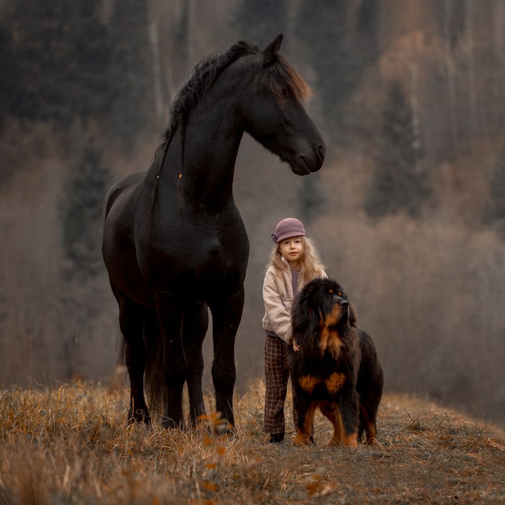 Фотография автора Юлия Онучина