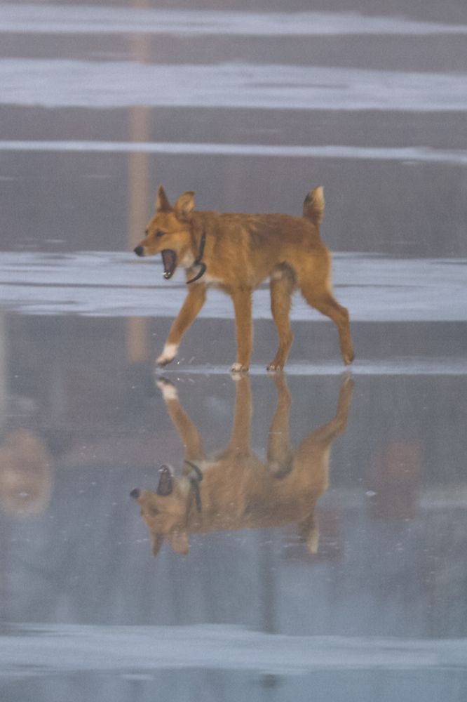 Photograph by Сергей Конюшенко