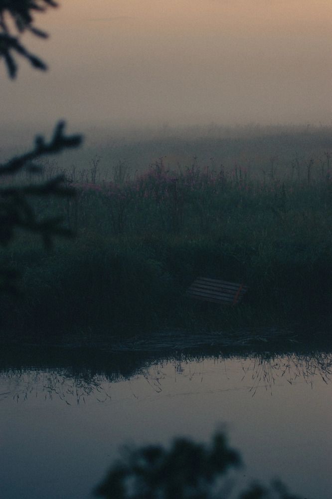 Фотография автора Ирина Шестакова