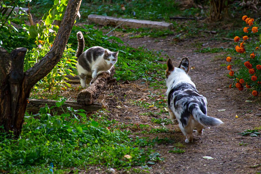 Photograph by Анатолий Мигов