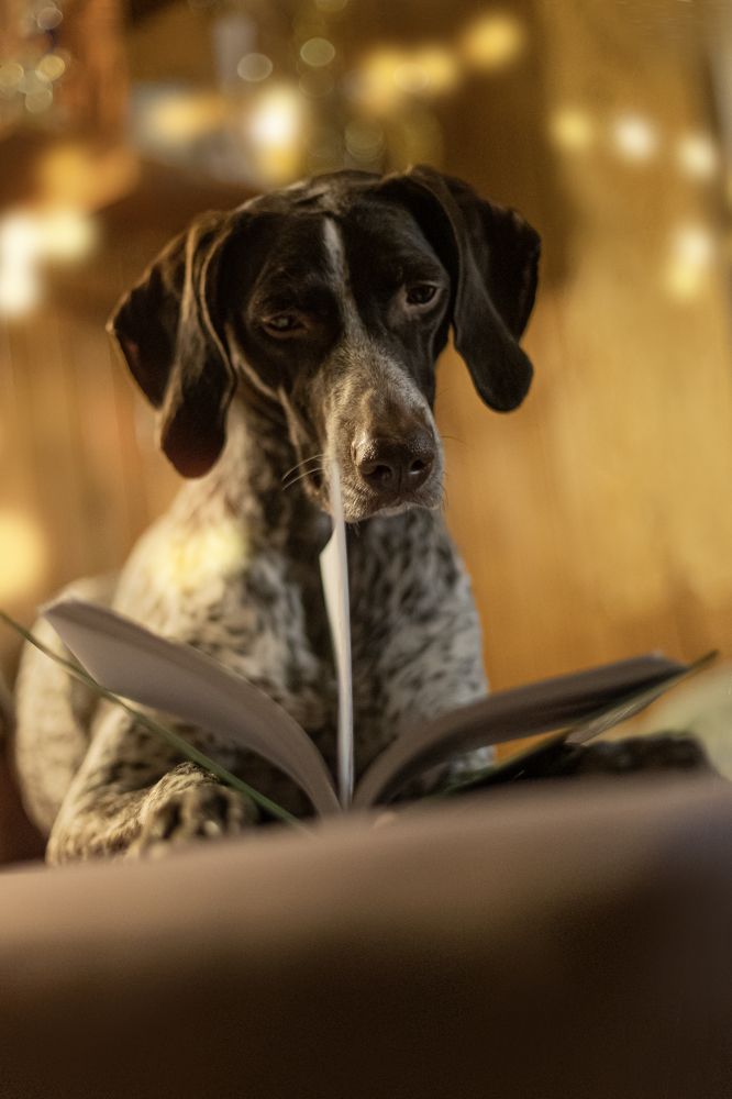 Фотография автора Ritus20018