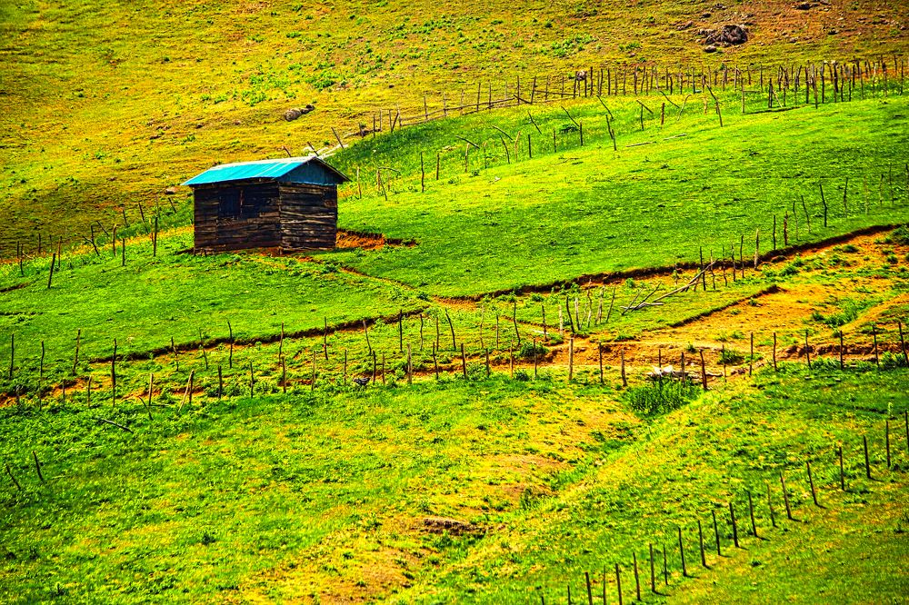 Photograph by Siamak Sabet