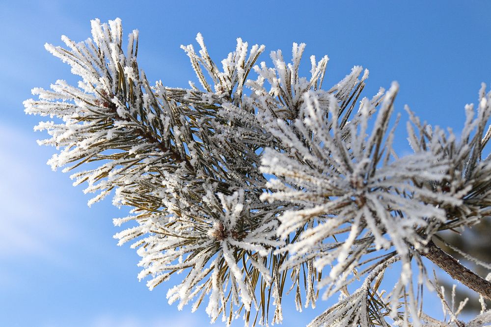 Photograph by Елена Рудкевич