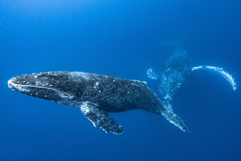 Each type of love is different