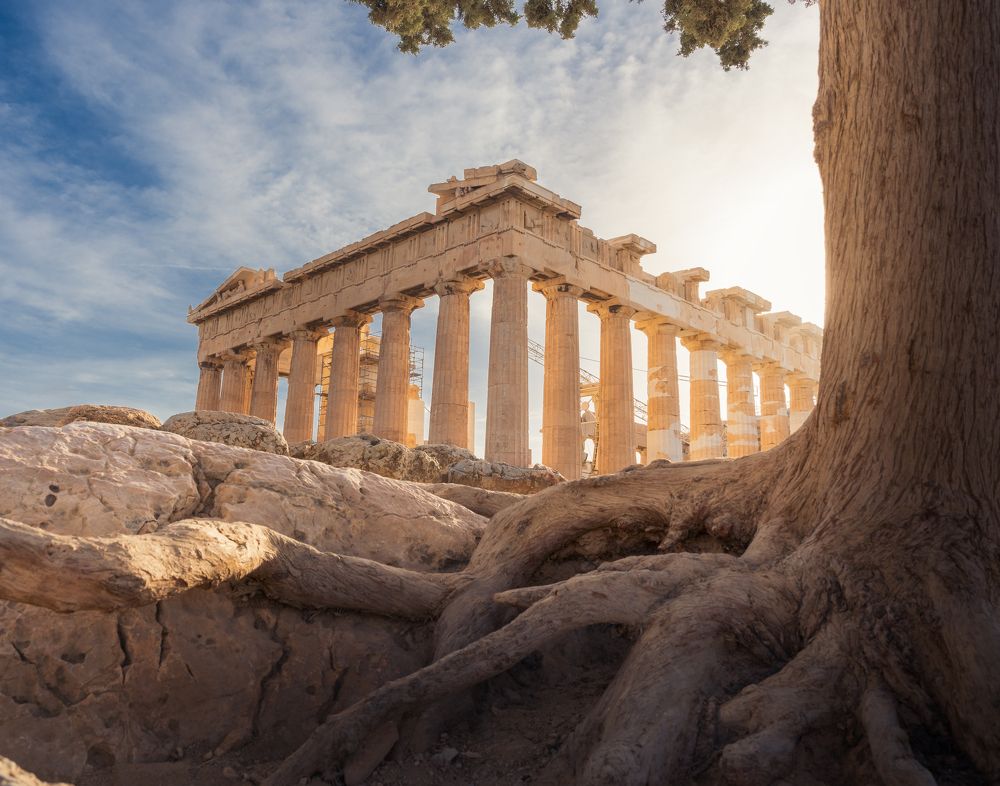 Photograph by Jonathan Sammartano