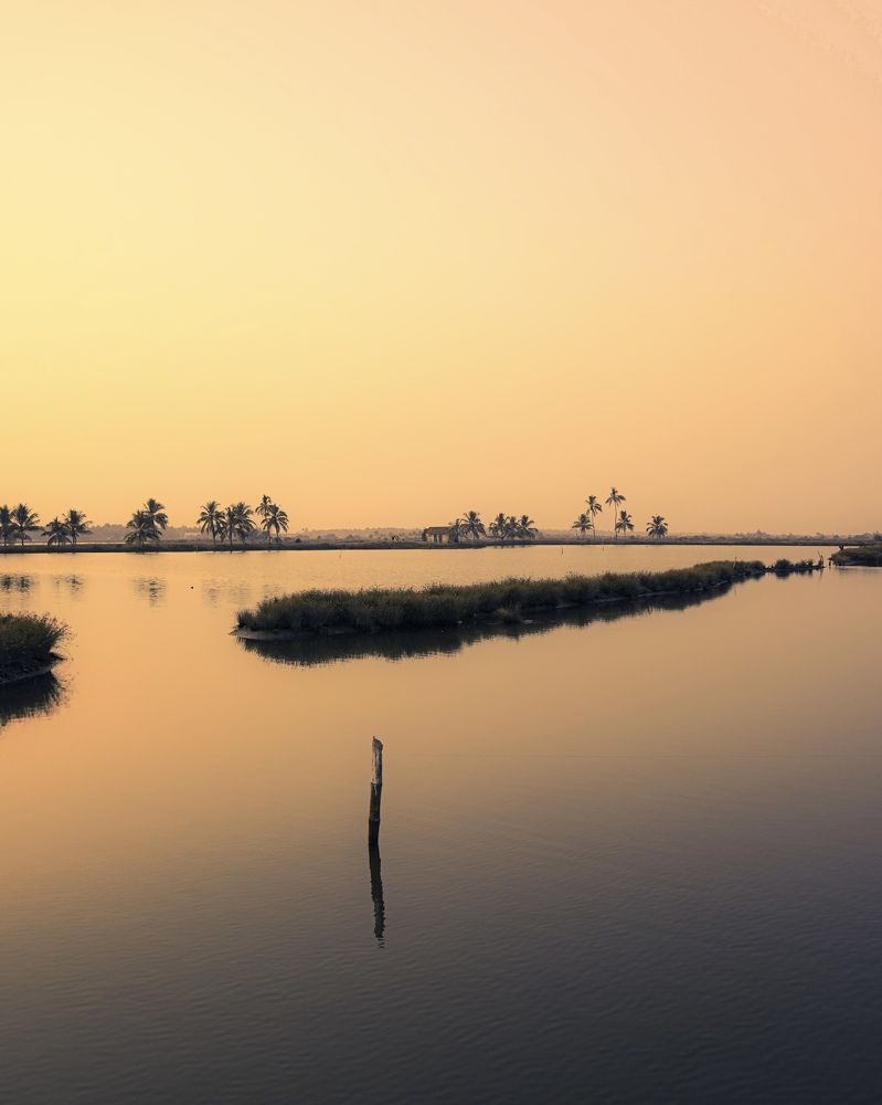 Kumbalangi Island