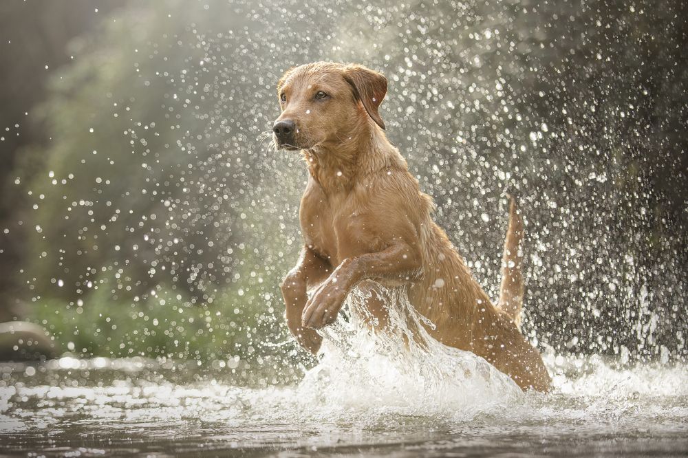 Photograph by Paula Casado Gutierrez