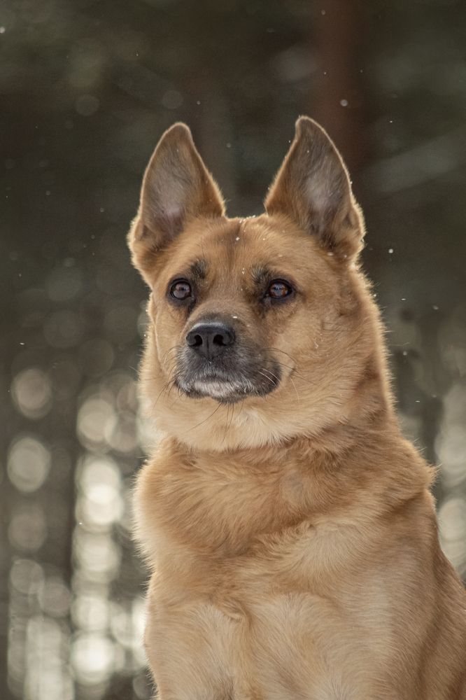 Фотография автора Ritus20018