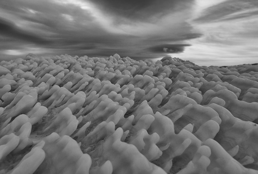 Фотография автора Лариса Кисурина